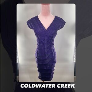 EUC Coldwater Creek Shutter Pleated Dress